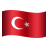 Turkçe